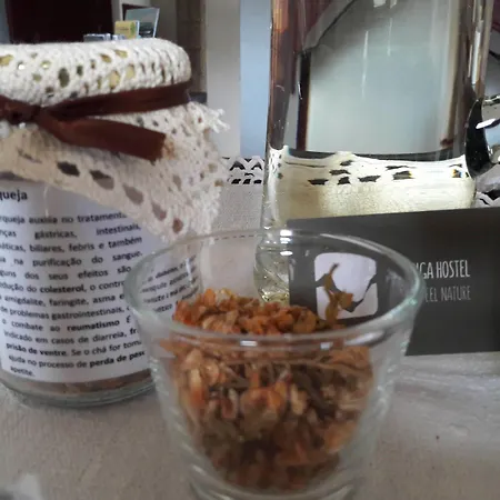 - Feel Nature * Loriga