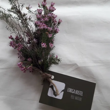 - Feel Nature Vandrarhem *