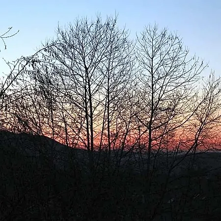 - Feel Nature Loriga