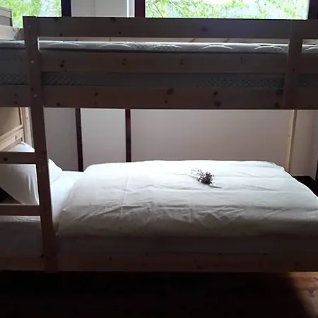 - Feel Nature Hostel *