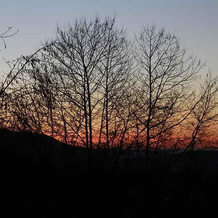 - Feel Nature Loriga