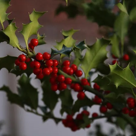 Vandrarhem - Feel Nature