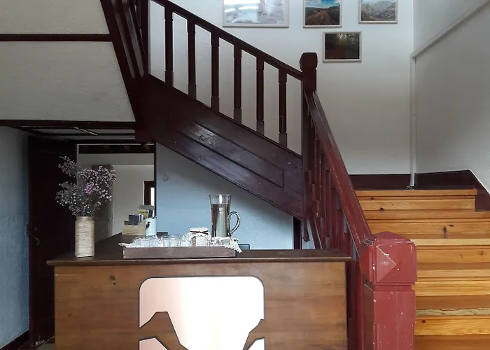 - Feel Nature Hostel *