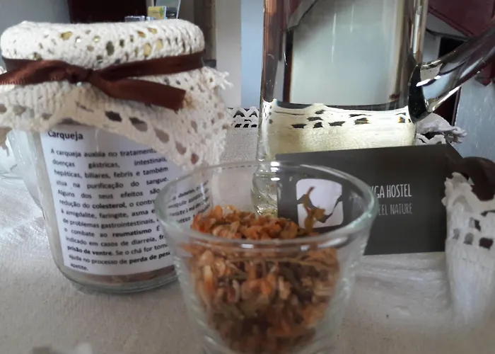 - Feel Nature * Loriga