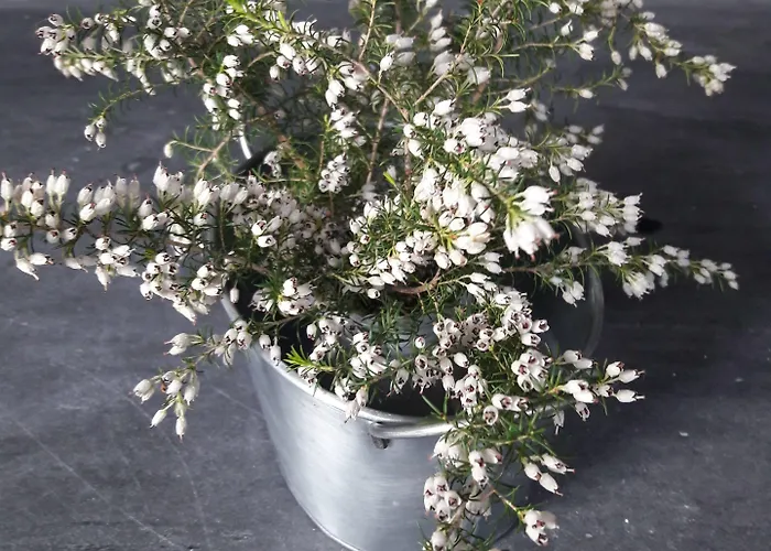 - Feel Nature Hostel *