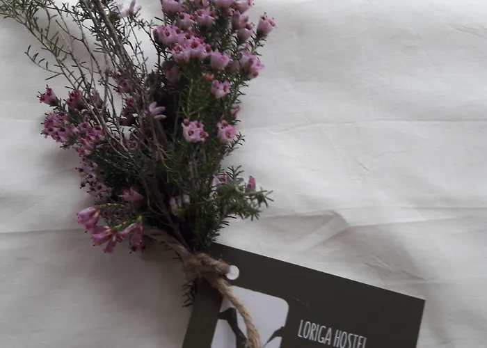 - Feel Nature Hostel *