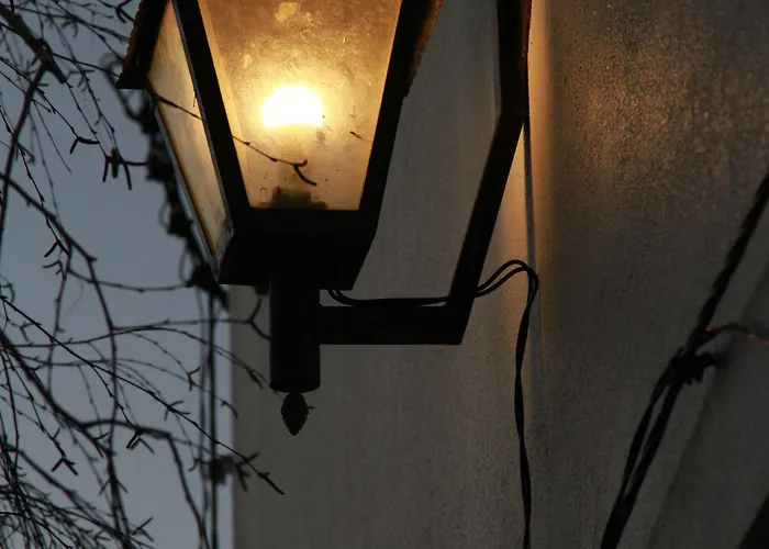 - Feel Nature Hostel