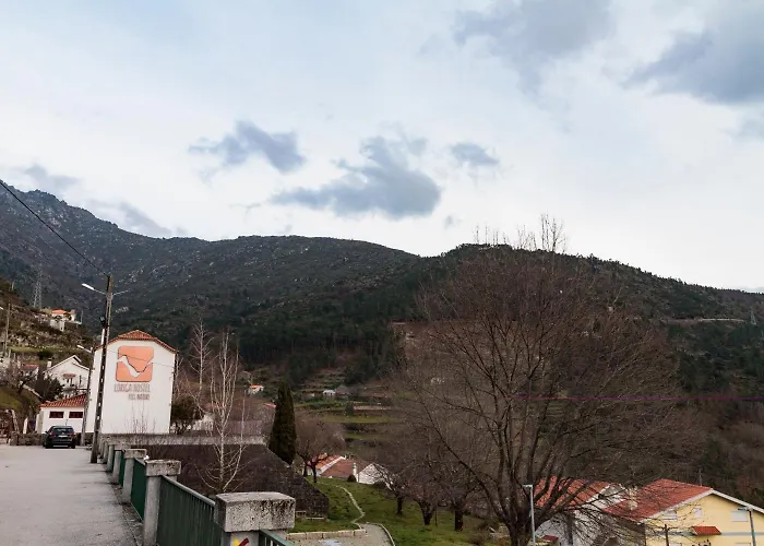 - Feel Nature Hostel