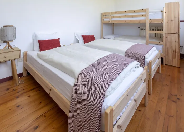 - Feel Nature Hostel