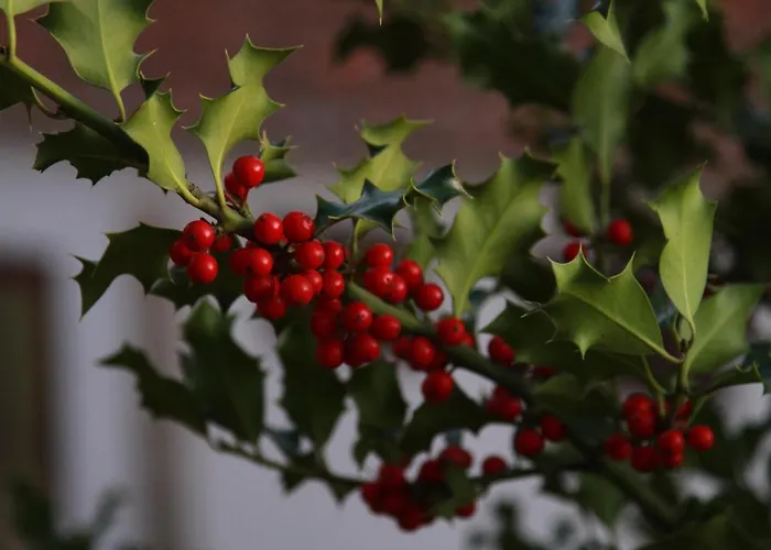 Hostel - Feel Nature