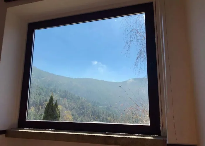 - Feel Nature Hostel