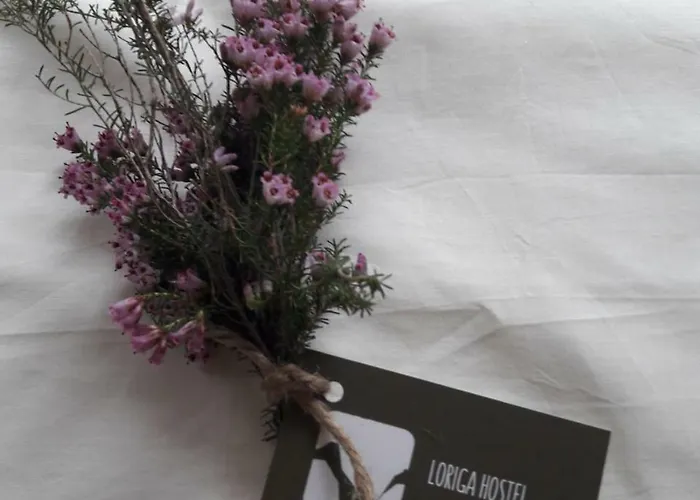 - Feel Nature Hostel